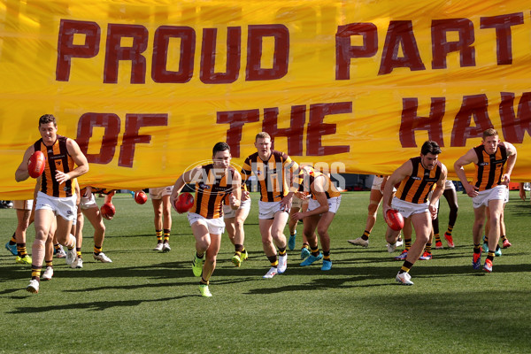 AFL 2024 Round 21 - GWS v Hawthorn - A-52517052