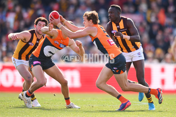 AFL 2024 Round 21 - GWS v Hawthorn - A-52517064