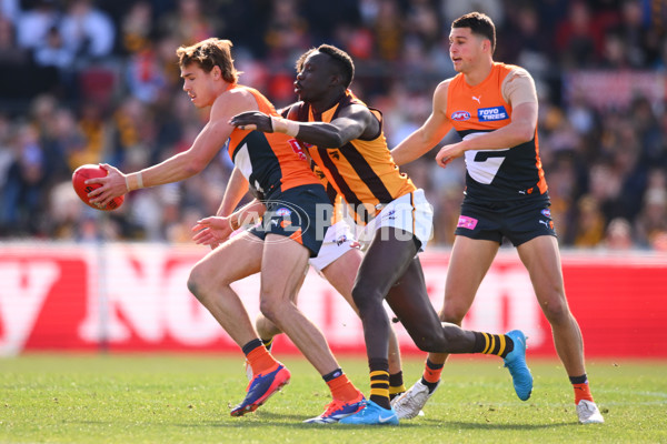AFL 2024 Round 21 - GWS v Hawthorn - A-52517067