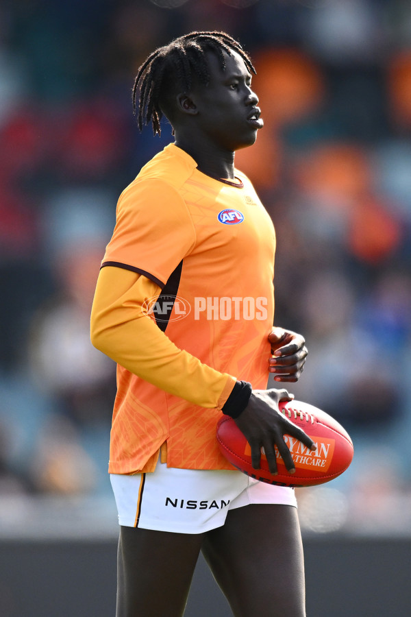 AFL 2024 Round 21 - GWS v Hawthorn - A-52517709