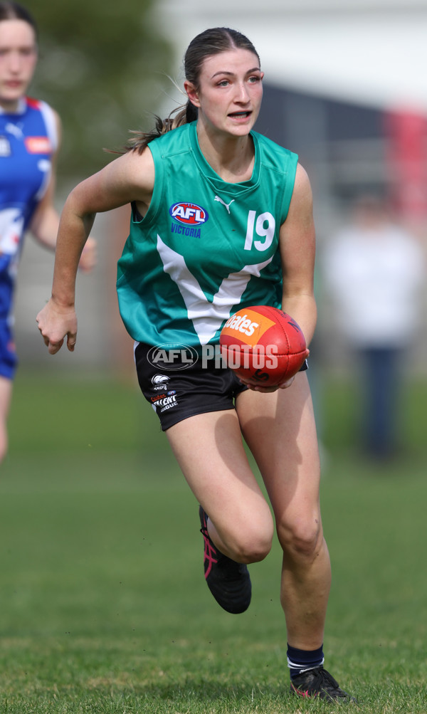 Young Gun Series 2024 - Young Guns v Oakleigh Chargers - A-52517722