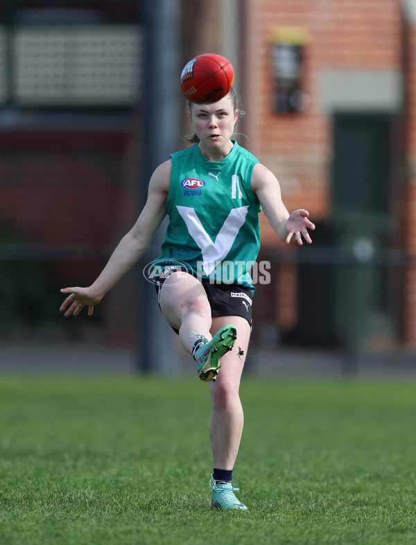 Young Gun Series 2024 - Young Guns v Oakleigh Chargers - A-52517727