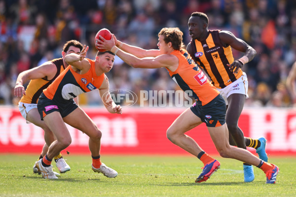 AFL 2024 Round 21 - GWS v Hawthorn - A-52517746