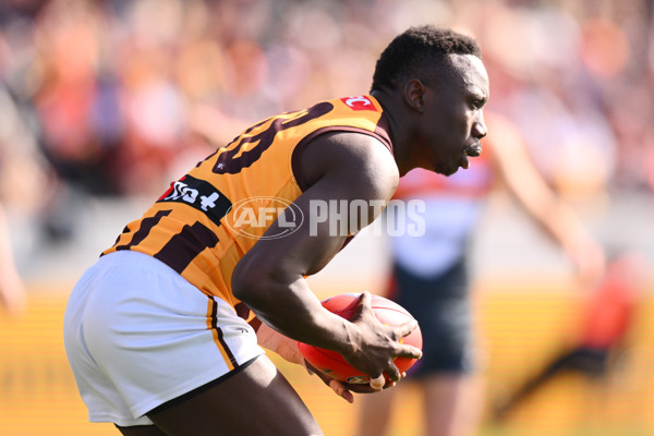 AFL 2024 Round 21 - GWS v Hawthorn - A-52517754