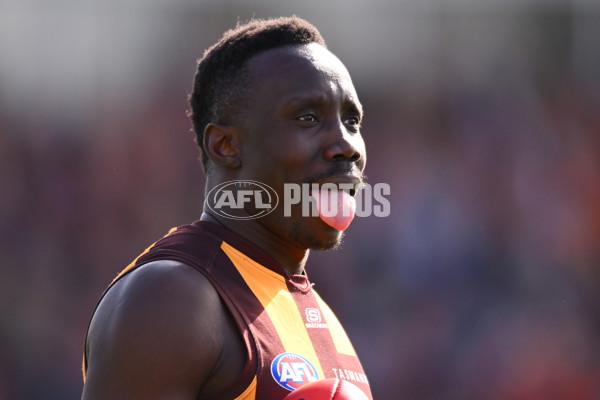 AFL 2024 Round 21 - GWS v Hawthorn - A-52517755