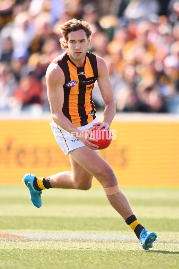 AFL 2024 Round 21 - GWS v Hawthorn - A-52517756