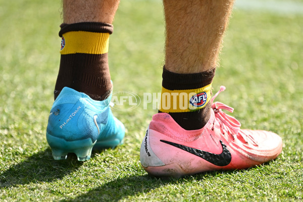 AFL 2024 Round 21 - GWS v Hawthorn - A-52517767