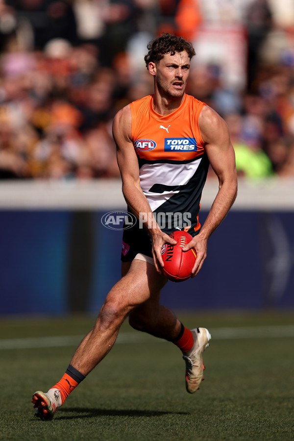 AFL 2024 Round 21 - GWS v Hawthorn - A-52517769