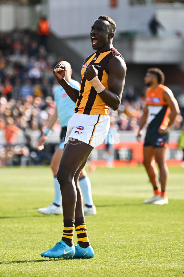 AFL 2024 Round 21 - GWS v Hawthorn - A-52517774