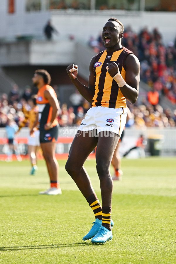 AFL 2024 Round 21 - GWS v Hawthorn - A-52517777