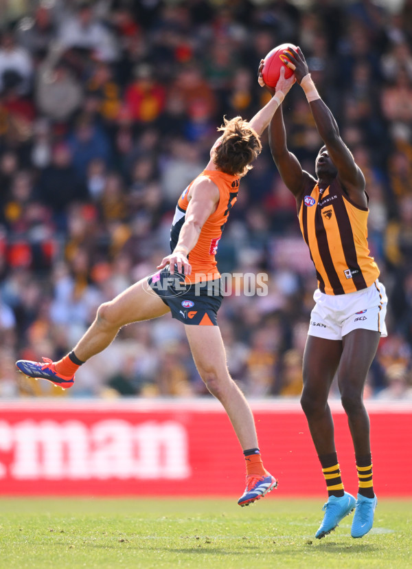 AFL 2024 Round 21 - GWS v Hawthorn - A-52519697