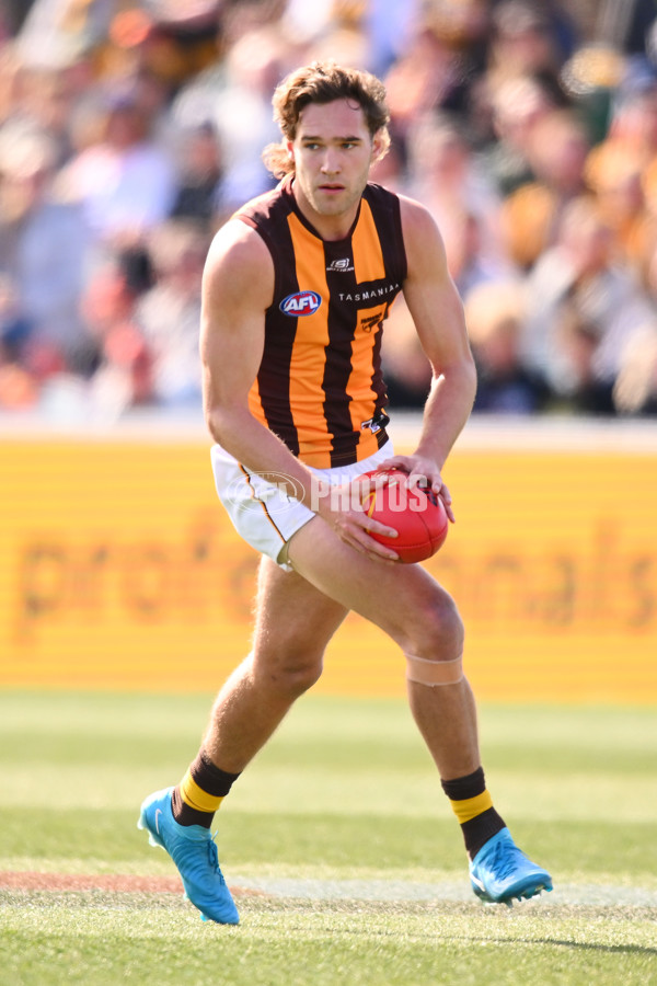 AFL 2024 Round 21 - GWS v Hawthorn - A-52519703