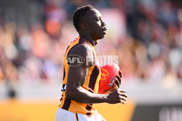 AFL 2024 Round 21 - GWS v Hawthorn - A-52519704