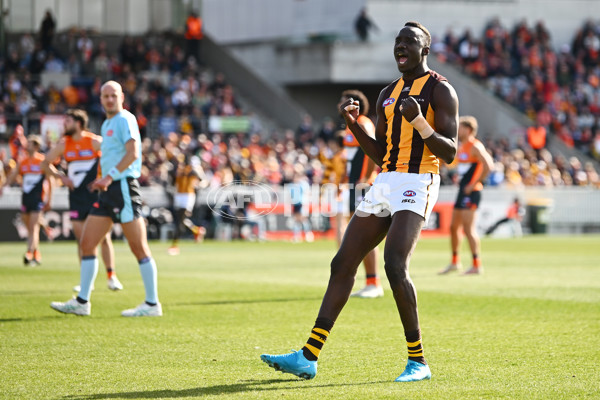 AFL 2024 Round 21 - GWS v Hawthorn - A-52519718
