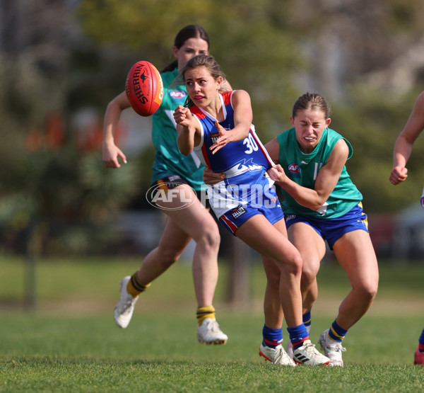 Young Gun Series 2024 - Young Guns v Oakleigh Chargers - A-52519761