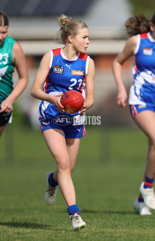 Young Gun Series 2024 - Young Guns v Oakleigh Chargers - A-52519762