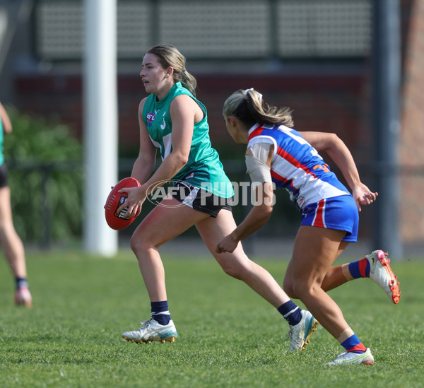 Young Gun Series 2024 - Young Guns v Oakleigh Chargers - A-52519763