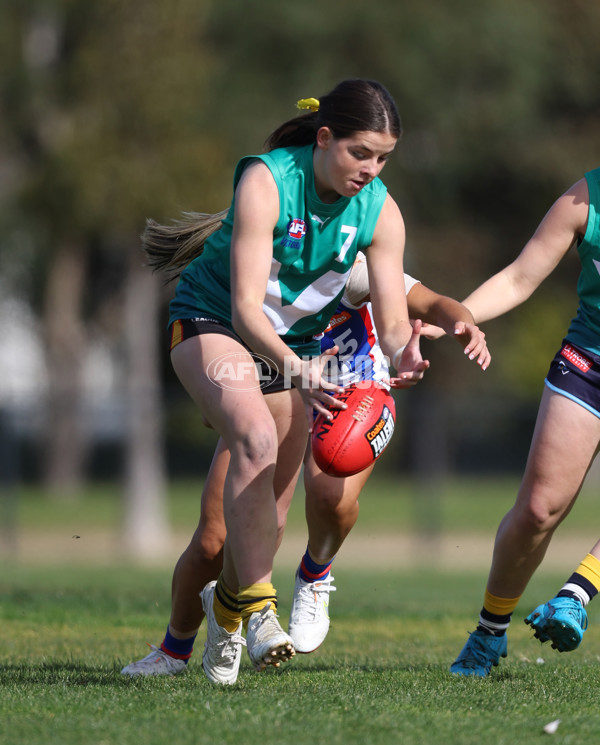 Young Gun Series 2024 - Young Guns v Oakleigh Chargers - A-52519766