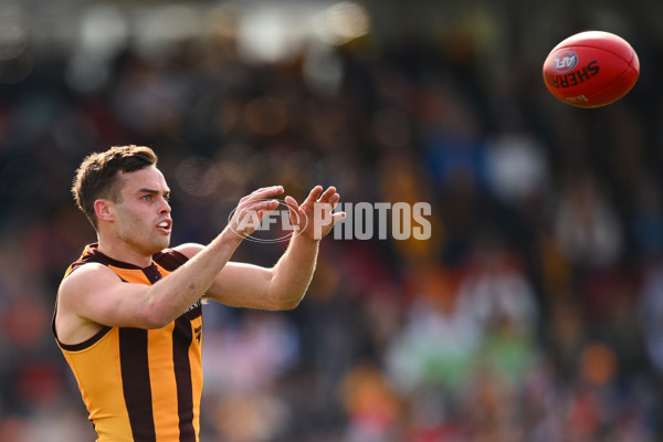 AFL 2024 Round 21 - GWS v Hawthorn - A-52519776