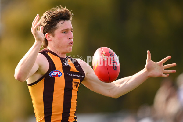 AFL 2024 Round 21 - GWS v Hawthorn - A-52519795