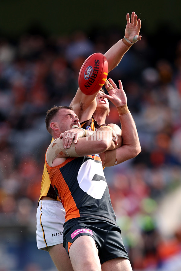 AFL 2024 Round 21 - GWS v Hawthorn - A-52519797