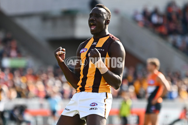 AFL 2024 Round 21 - GWS v Hawthorn - A-52520405