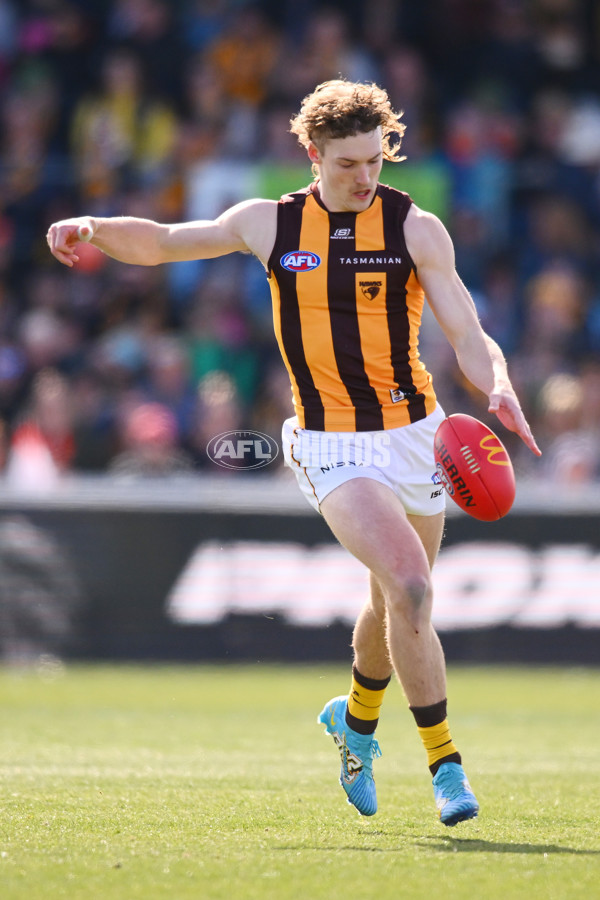 AFL 2024 Round 21 - GWS v Hawthorn - A-52520408