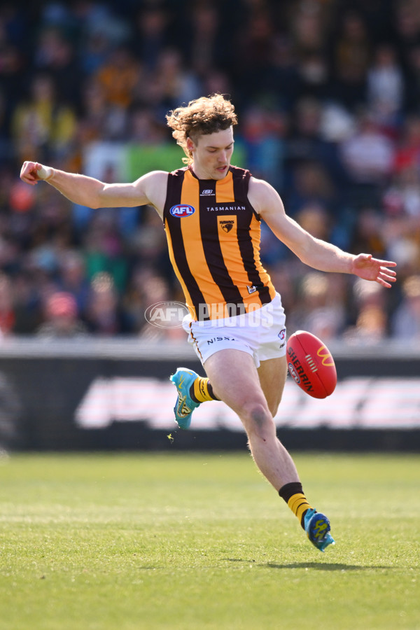 AFL 2024 Round 21 - GWS v Hawthorn - A-52520409