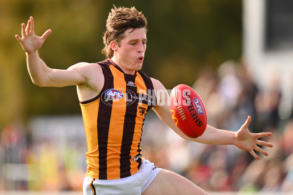 AFL 2024 Round 21 - GWS v Hawthorn - A-52520458