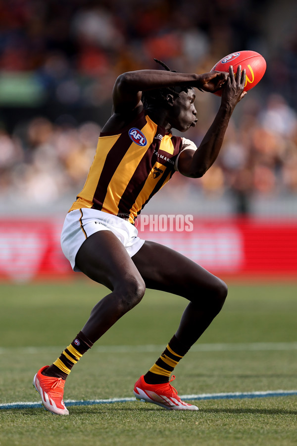 AFL 2024 Round 21 - GWS v Hawthorn - A-52520479