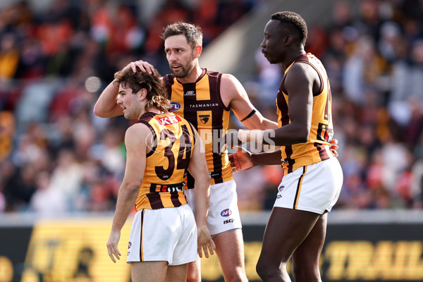 AFL 2024 Round 21 - GWS v Hawthorn - A-52520481