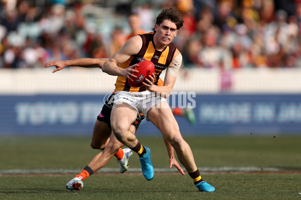 AFL 2024 Round 21 - GWS v Hawthorn - A-52522672