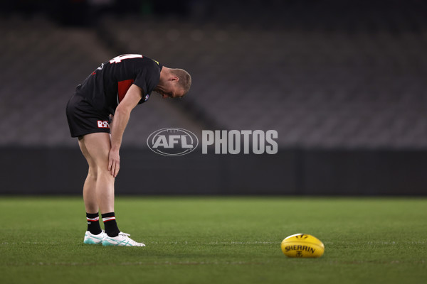 AFL 2024 Round 21 - St Kilda v Brisbane - A-52523793