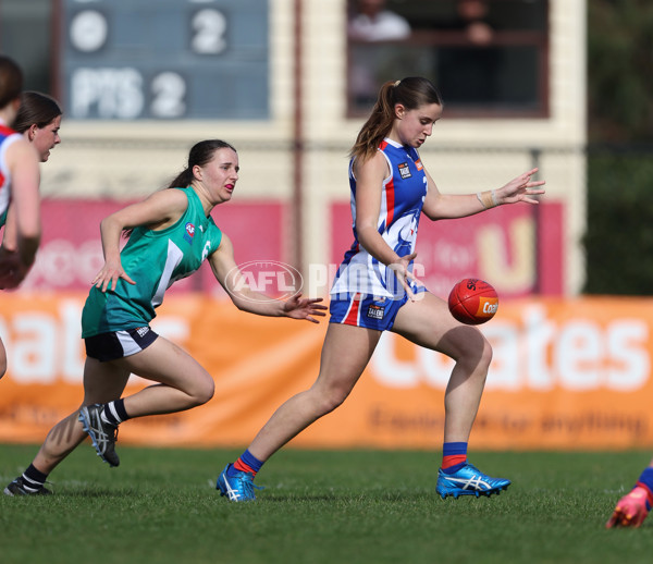 Young Gun Series 2024 - Young Guns v Oakleigh Chargers - A-52525424