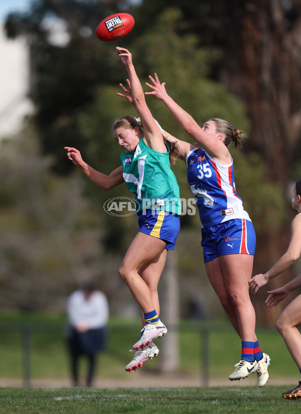 Young Gun Series 2024 - Young Guns v Oakleigh Chargers - A-52527185