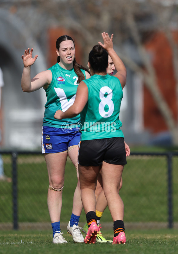 Young Gun Series 2024 - Young Guns v Oakleigh Chargers - A-52527186