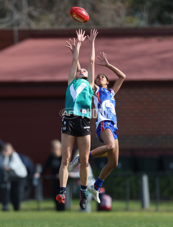 Young Gun Series 2024 - Young Guns v Oakleigh Chargers - A-52527188