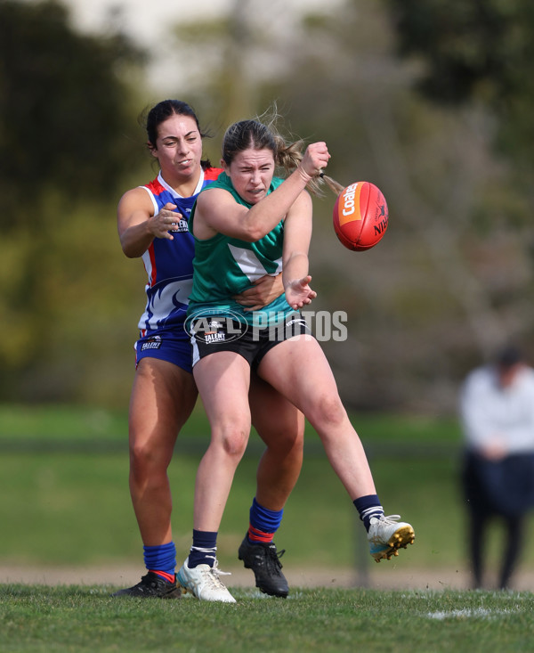 Young Gun Series 2024 - Young Guns v Oakleigh Chargers - A-52527192