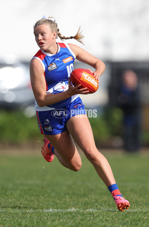 Young Gun Series 2024 - Young Guns v Oakleigh Chargers - A-52527222