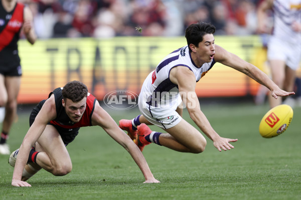 AFL 2024 Round 21 - Essendon v Fremantle - A-52527267