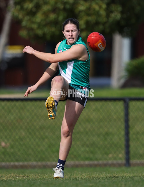 Young Gun Series 2024 - Young Guns v Oakleigh Chargers - A-52528635