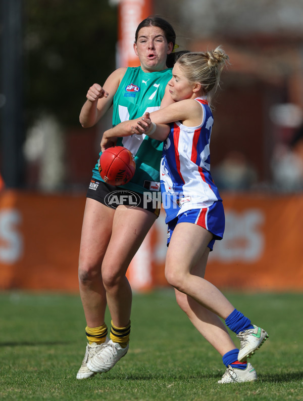 Young Gun Series 2024 - Young Guns v Oakleigh Chargers - A-52528636