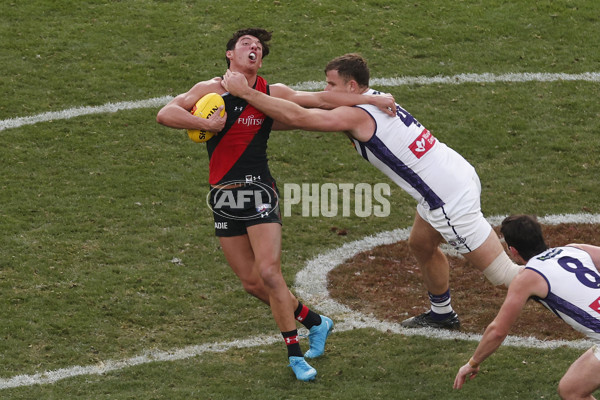 AFL 2024 Round 21 - Essendon v Fremantle - A-52528651