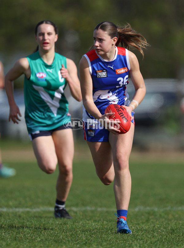 Young Gun Series 2024 - Young Guns v Oakleigh Chargers - A-52529538