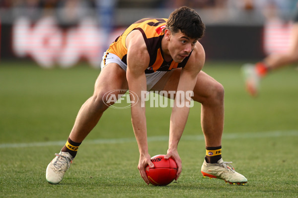 AFL 2024 Round 21 - GWS v Hawthorn - A-52531514