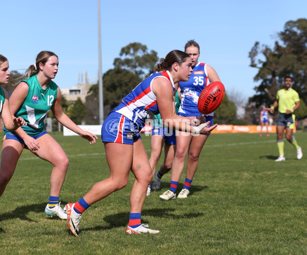 Young Gun Series 2024 - Young Guns v Oakleigh Chargers - A-52531577