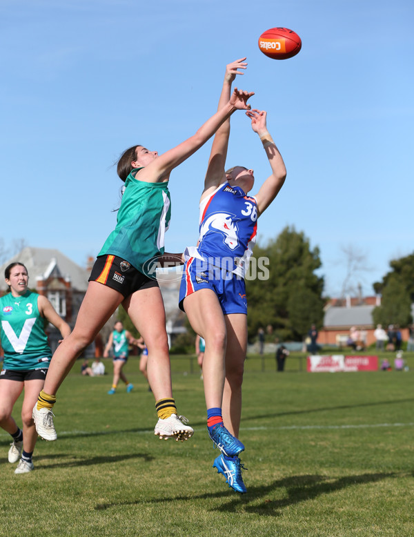 Young Gun Series 2024 - Young Guns v Oakleigh Chargers - A-52531578