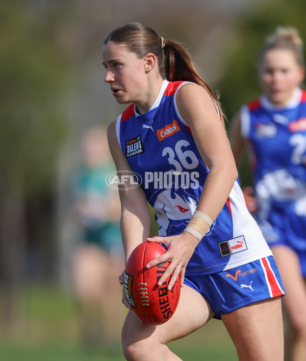 Young Gun Series 2024 - Young Guns v Oakleigh Chargers - A-52532667