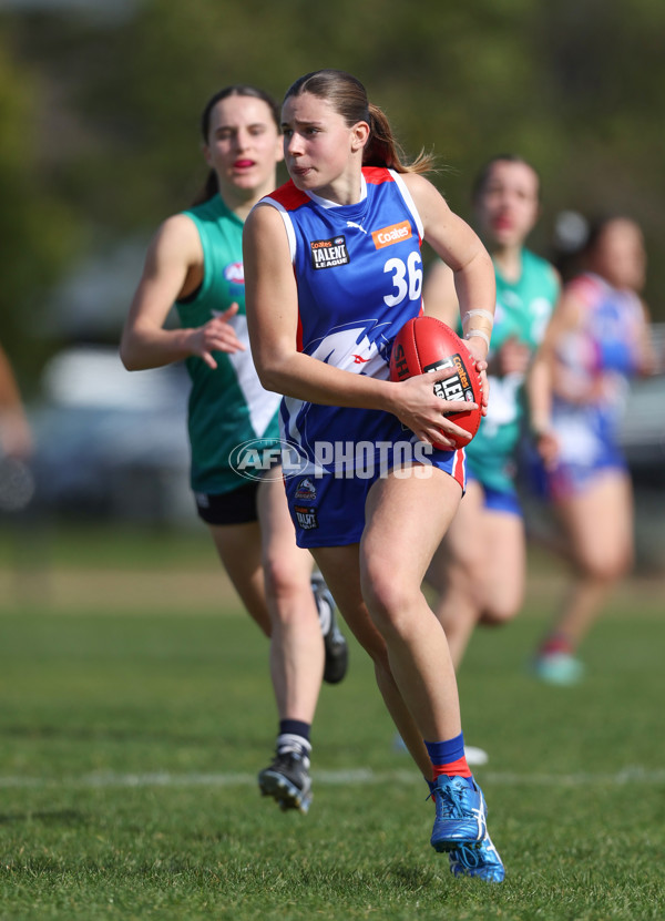 Young Gun Series 2024 - Young Guns v Oakleigh Chargers - A-52532670