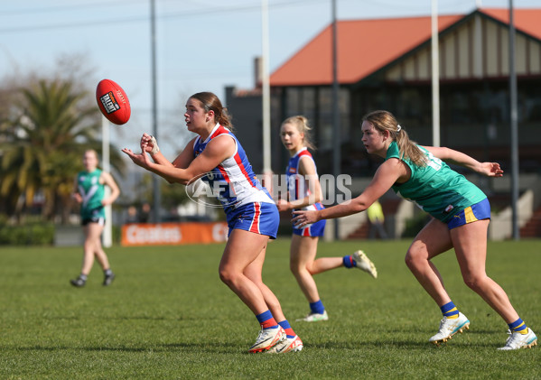 Young Gun Series 2024 - Young Guns v Oakleigh Chargers - A-52532672